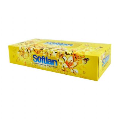 Softlan Facial Tissue-Bagh-e-behesht- 100 × 2ply 72 packs
